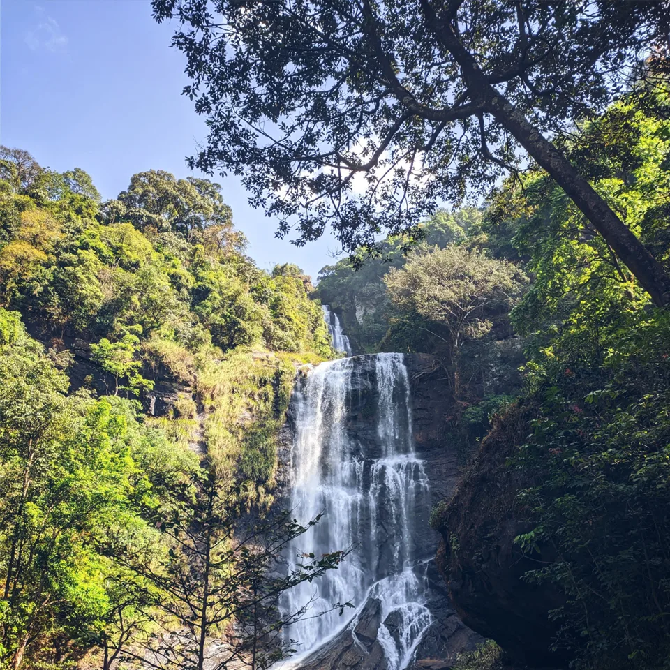 Hebbe Falls — 168m cascade through coffee estates
