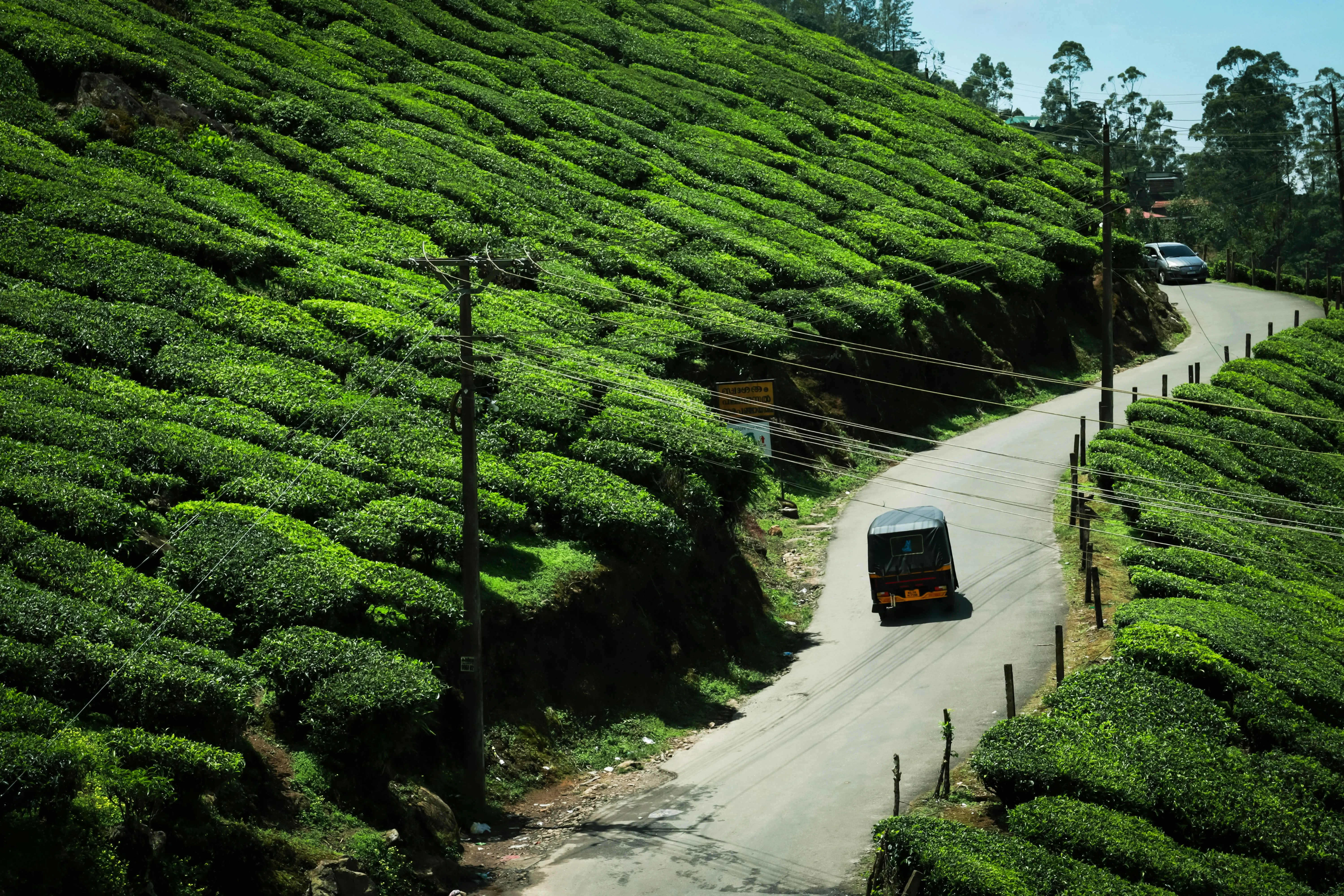 Scenic road winding through Chikmagalur hills
